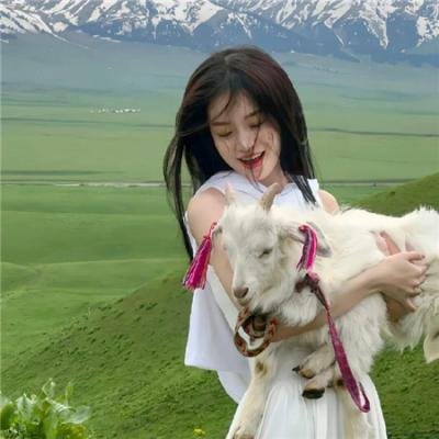 神枪手与咖喱鸡